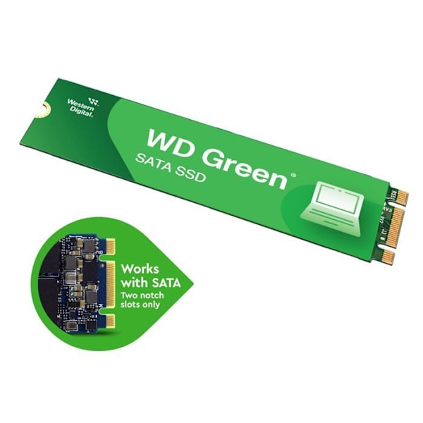 WD Green™ - 240 Gt - M.2 SATA SSD