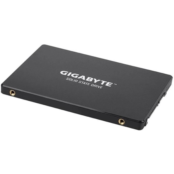 GIGABYTE internt SSD-drev - UD Pro - 1TB - SATA (GP-GSTFS31100TNTD)