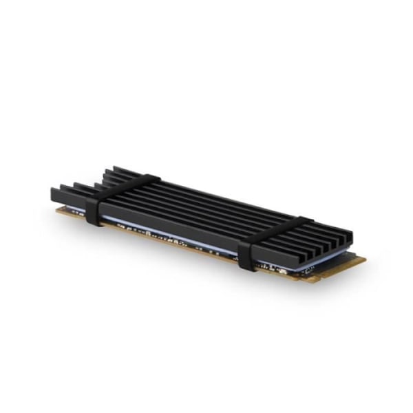 AXAGON CLR-M2L3 passivator M.2-SSD-Kuhlkorper 2280 Sort aluminiumslange 3 mm - 8595247905536