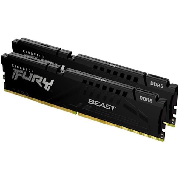 KINGSTON TEKNOLOGI - FURY Beast - PC RAM-hukommelse - 32 GB - DDR5 DIMM - 5600 Mhz
