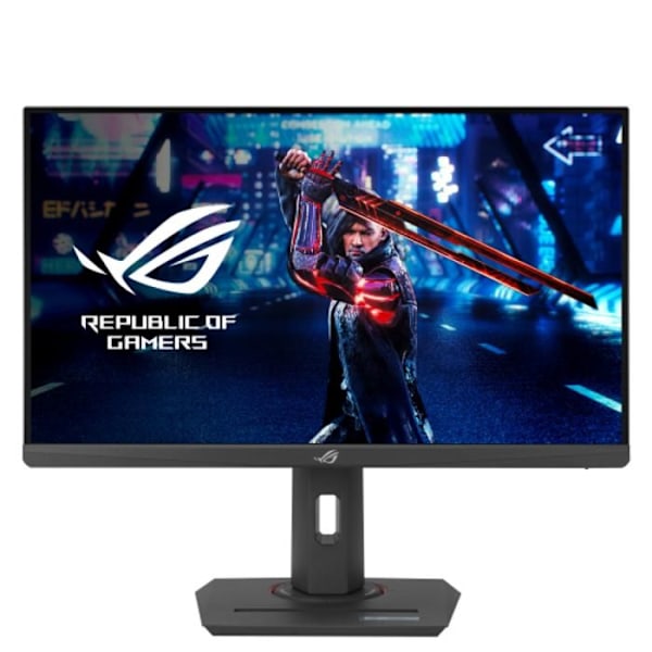 ASUS ROG XG259QNS 25' FHD/380H Sort