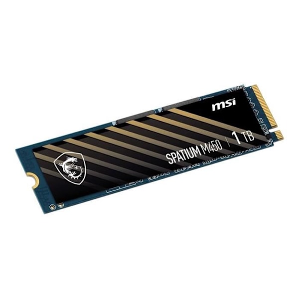 MSI SPATIUM M450 1TB PCIe 4.0 NVMe M.2 intern SSD