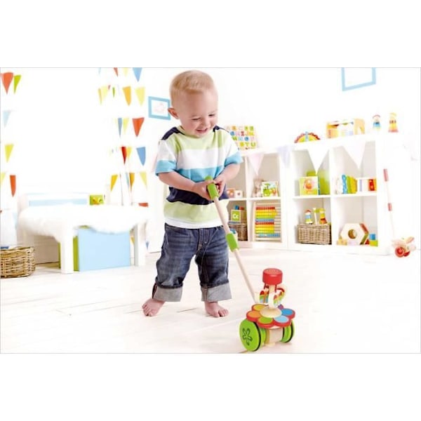 Hape Dansande fjärilar Push Cane Flerfärgad