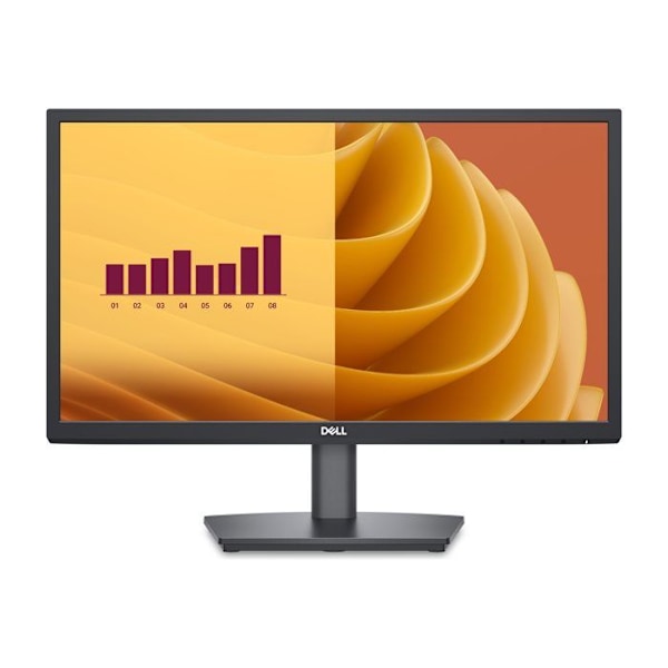 DELL Dell 22 Skærm