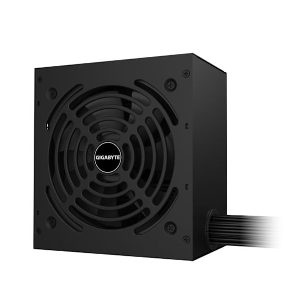 Gigabyte GP-P650G Sort