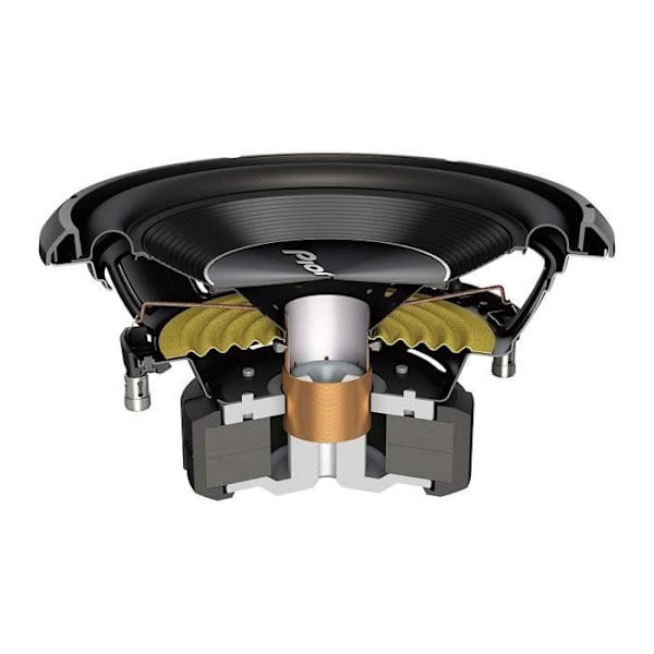 Pioneer TS-A250D4