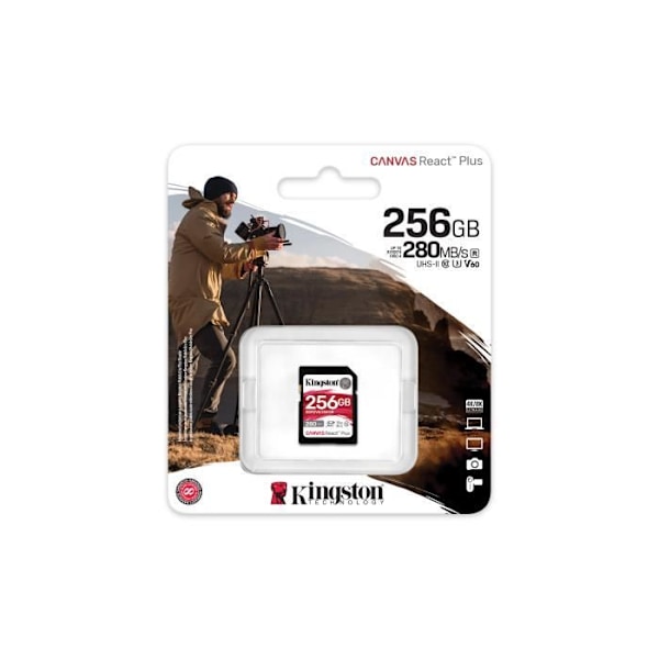 256 GB Canvas React Plus til Full HD/4K