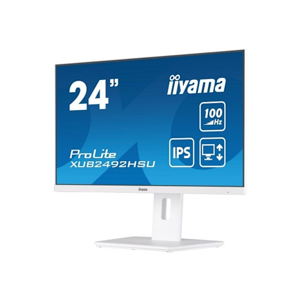 iiyama ProLite XUB2492HSU-W6