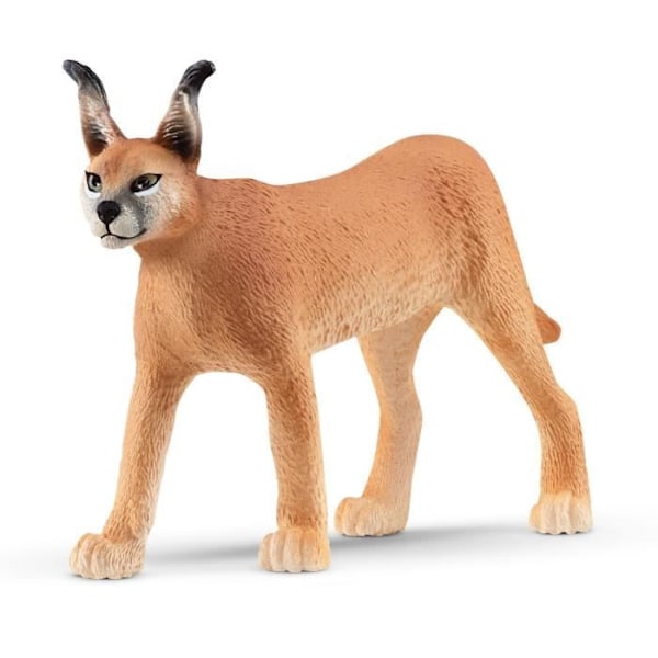 SCHLEICH - Kvinde Caracal - 14867 - Rækkevidde: Vildt liv Flerfärgad