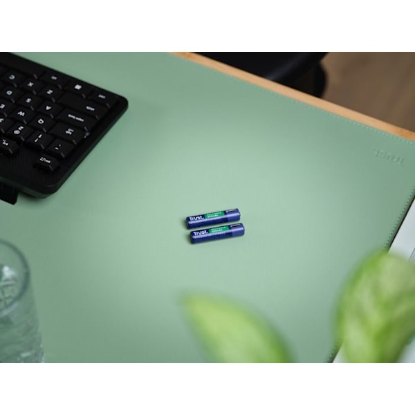 25585 Pack med 2 uppladdningsbara USB-C Trust AAA-batterier - 500mAh (LR03) Blå
