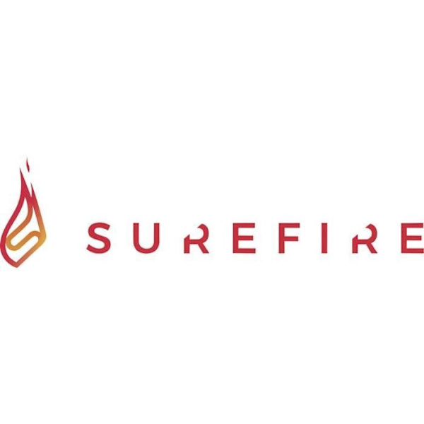 Ulkoinen SSD-kiintolevy - SUREFIRE - 512 Gt - USB 3.0 - 2,5 tuumaa - Korkea suorituskyky