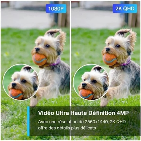 Utomhus WiFi övervakningskamera - TP-Link TAPO C320WS - QHD 4MP(2K+) - Night Vision - IP66 - Alexa-kompatibel Nattfärg i färg