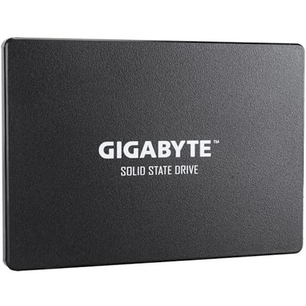 GIGABYTE:n sisäinen SSD-asema – UD Pro – 1 Tt – SATA (GP-GSTFS31100TNTD)
