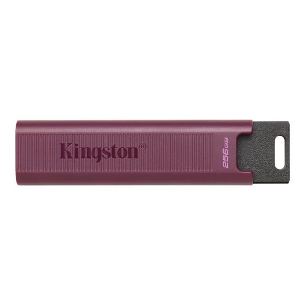 Kingston DTMAXA-1TB USB-minne Röd