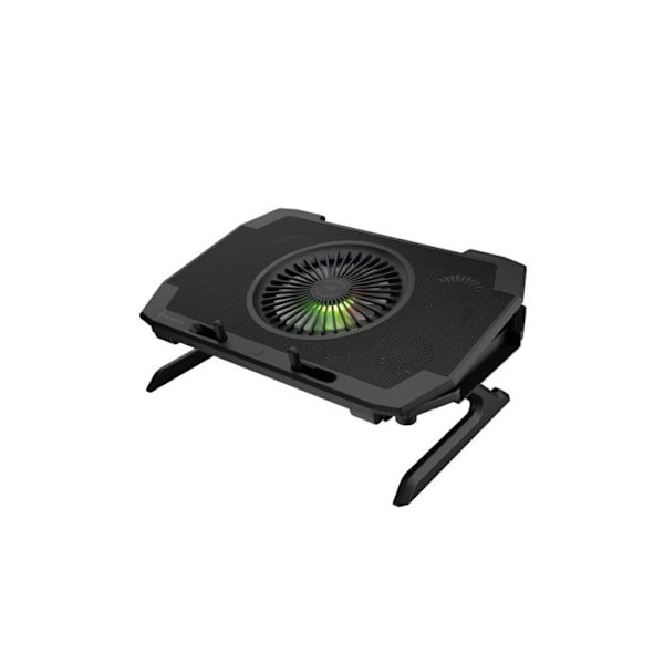Bærbar køler - Genesis - OXID 850 - Sort - 40 cm - USB 2 tilslutninger Svart