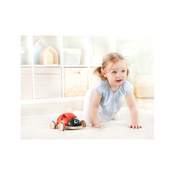 Nyckelpiga att dra formsorterare - Hape - SHAPE SORTER LADYBUG - Formlåda - Draleksak Flerfärgad