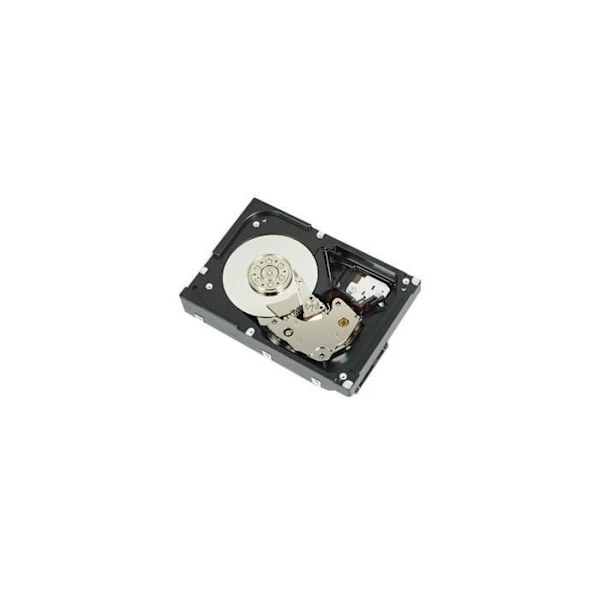 DELL Intern Festplatte 3.5 2000 GB Serial ATA III () - 400-BLLG