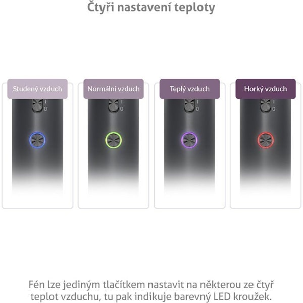 Sèche-cheveux TrueLife D3
