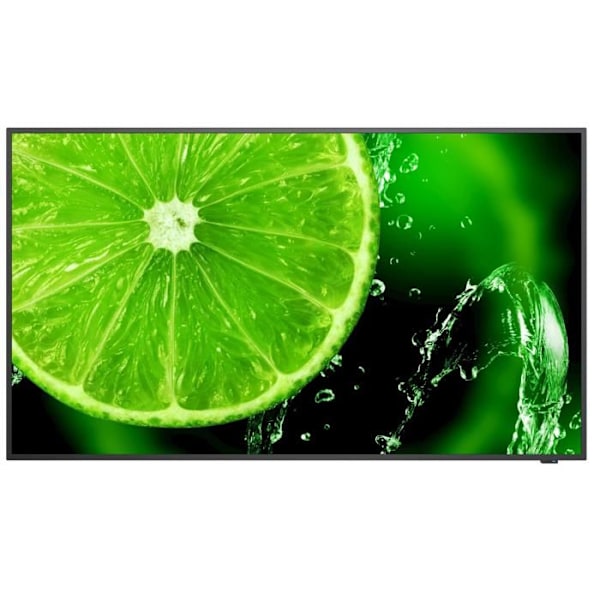 Skærm - NEC - E498 - 49" - Ultra HD 4K - IPS - Direct-LED Sort