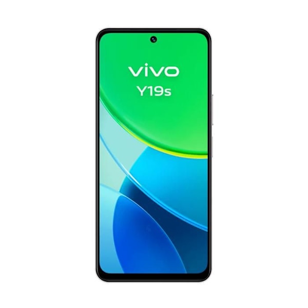 Vivo Y19s 4G 6 Go/128 Go Hopea (Pearl Silver) KaksoisSIM