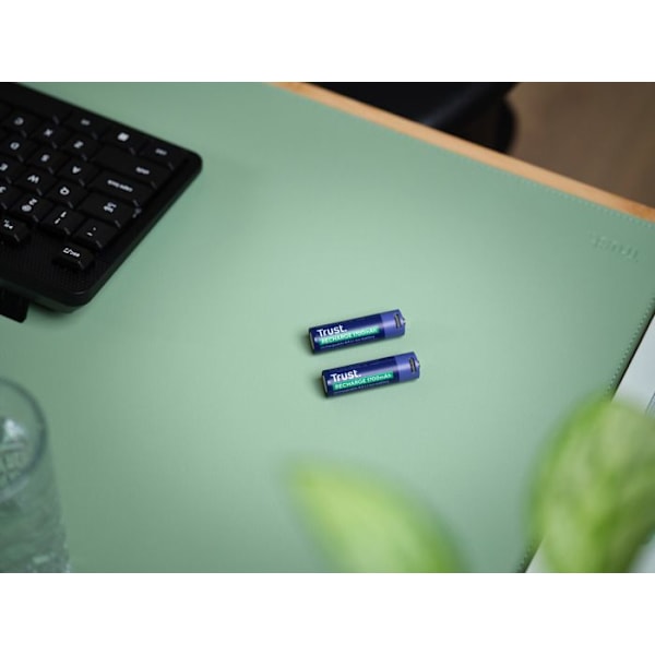 25584 Pack med 2 USB-C uppladdningsbara batterier Trust typ AA - 1700 mAh (R06) Blå
