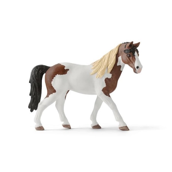 Hannah's Racing Horse - Sæt med 12 Schleich Rodeo Legetøj med Cohyrd - Hestefigur og tilbehør - Gave til drenge Flerfärgad