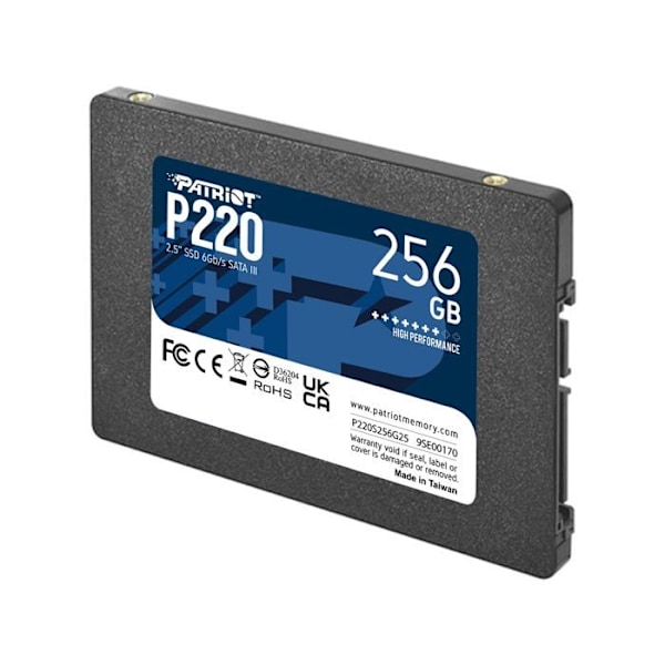PATRIOT P220 256 Gt