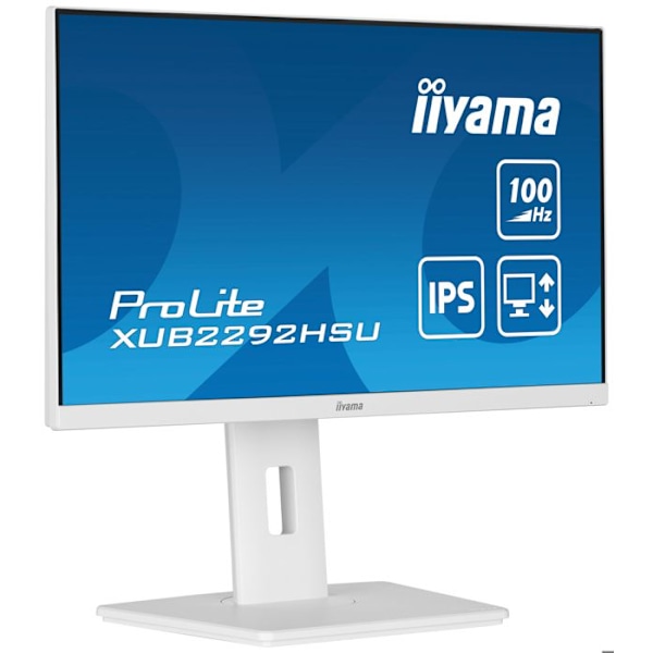 IIYAMA 21,5" LED