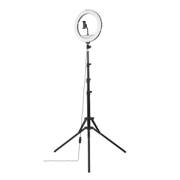 LED-renkaalamppu - PR SMARTPH. - Spotlight Steady 120 II - 12'' - Jalusta - Bluetooth-kaukosäädin
