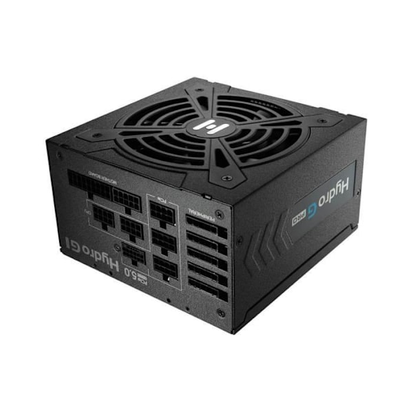 Strömförsörjningsenhet - FSP - Hydro G Pro - 1000W - 80 Plus Gold - ATX3.0 (PCIe5.0)