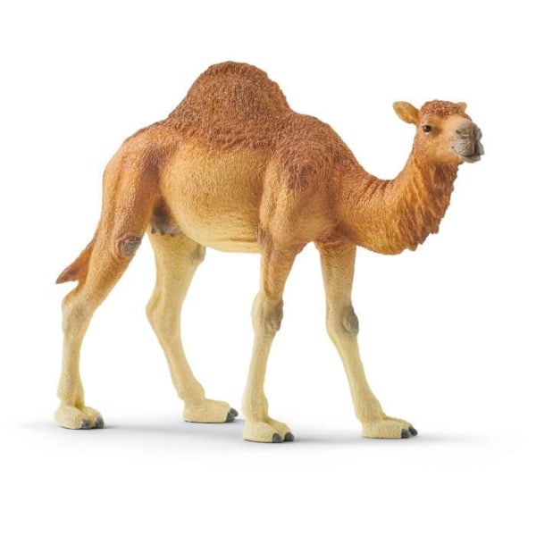 Dromedary Figurine - SCHLEICH - Wild Life - Opetuslelu 3-8-vuotiaille lapsille Flerfärgad