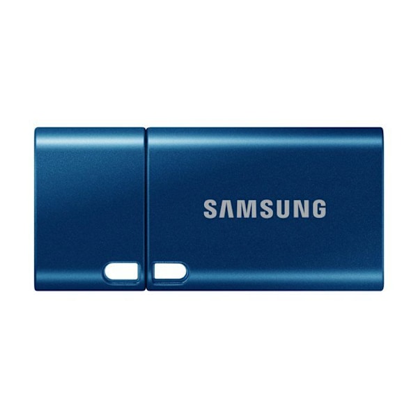 USB-nøgle - Samsung - MUF-256DA - 256 Go - USB 3.2 Gen 1 - USB Type-C - Hastighed 400 Mo/s