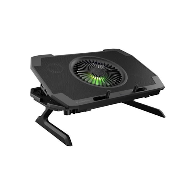 Bærbar køler - Genesis - OXID 850 - Sort - 40 cm - USB 2 tilslutninger Svart