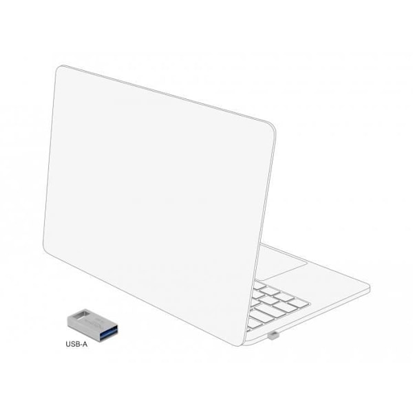 DELOCK 54069 USB-muistitikku - 16 Gt - USB Type-A 3.2 Gen 1 (3.1 Gen 1)