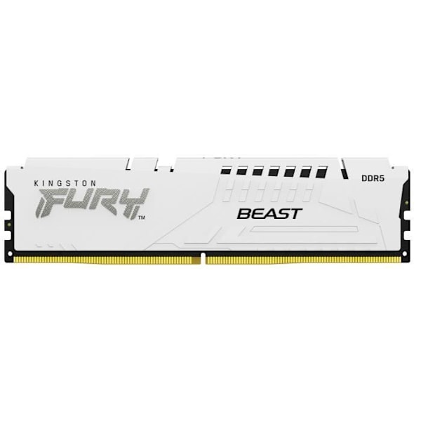 Minne Kingston FURY Beast DDR5 32GB 6000MT/s CL30 DIMM Kit med 2 vita