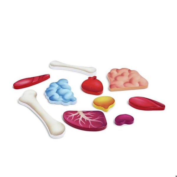 Ihmiskehon palapeli - HAPE - Opetus anatomia - 50 kpl - Kaksipuolinen juliste Flerfärgad