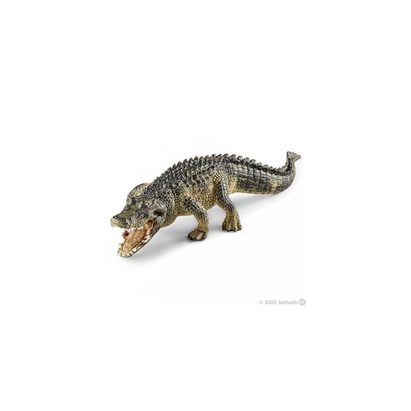 Alligatorfigur - Schleich - 14727 - Vildt liv - Miniaturefigurer - Blandet - 3 år og derover Grøn