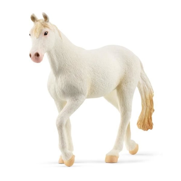 Figuriini - SCHLEICH - Camarillo Mare - Valkoinen takki - Valkoiset sorkat - Vaaleanpunaiset sieraimet Flerfärgad