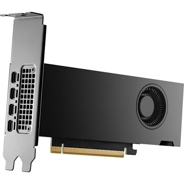NVIDIA NVIDIA RTX 2000 Ada 16G