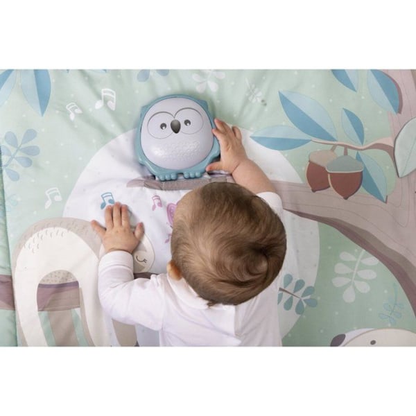 Chicco Owl 2 in 1 -leikkimatto flerfarvet