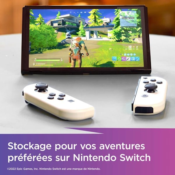 SanDisk microSDXC Extr 256 GB microSDXC-kort (A1/V30/U3/C10/R100/W90) Fortnite, Cuddle Team Leader 256 GB A1-applikation