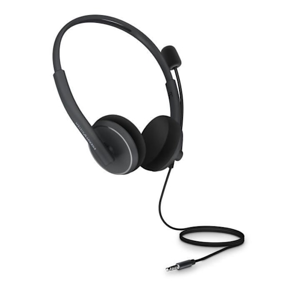 Energy Sistem Headset med mikrofon Headset Office 2 MiniJack 3,5 mm Grå