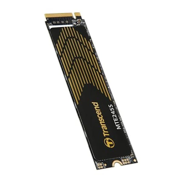TRANSCEND 245S 1 To