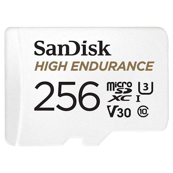 High Endurance flash-muistikortti - SANDISK - 256 Gt - Video Class V30 / UHS-I U3 / Class10