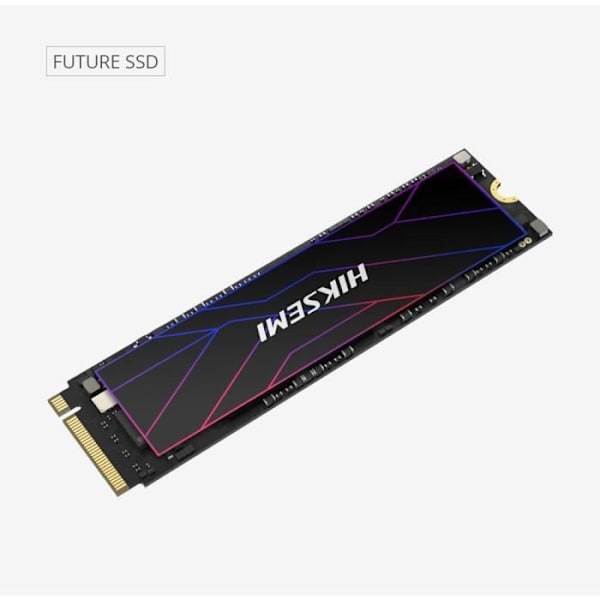 HIKSEMI - Sisäinen SSD - 1024 Gt - M.2 - Future PCIe Gen 4x4, NVMe 7450 Mt/s 6600 Mt/s (HS-SSD-FUTURE(STD)/1024G/PCIE4)