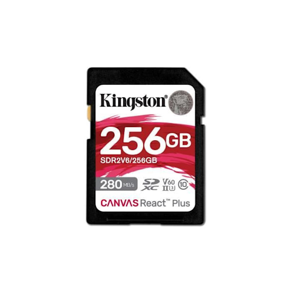 256 GB Canvas React Plus til Full HD/4K