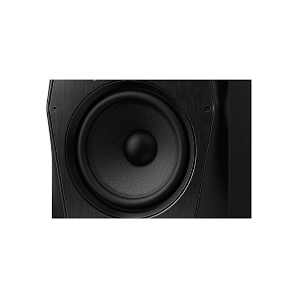 Pioneer DJ VM-80 - aktiivinen valvontakaiutin (per huone)