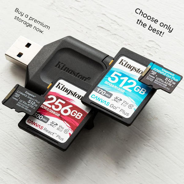 KINGSTON Canvas Select Plus 256 GB A1 / Video Class V30 microSDXC UHS-I hukommelseskort