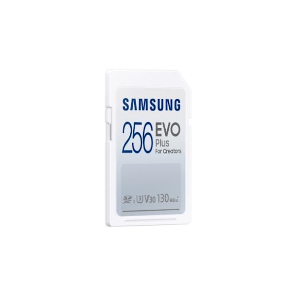 SAMSUNG EVO PLUS FLASH MEMORY 256 GB SDXC UHS-I (MB-SC256K-EU)