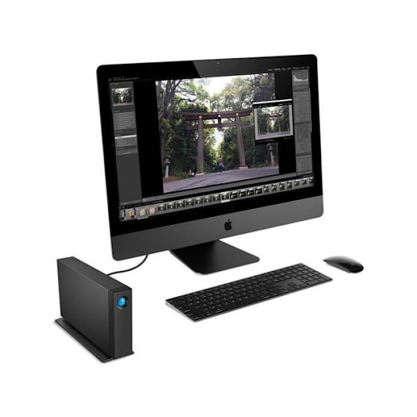 LaCie d2 Professional STHA10000800 Desktop Hard Drive - 10 TB - USB 3.1 Type C